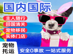 银川河东机场空运国际宠物托运 【国